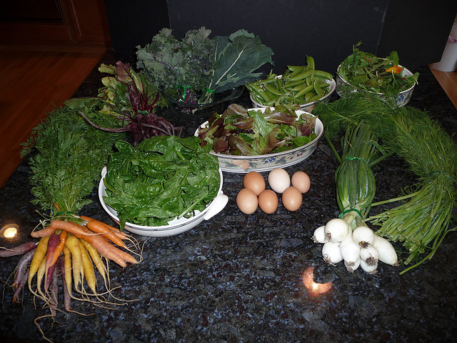 File:Grow Box 4012.jpg