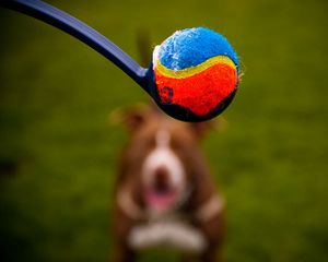 Play the Worlds Hardest Games 5173.jpg