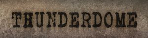 Thunderdome logo wall.jpg