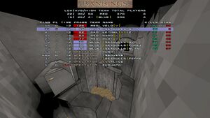 Vultures seagulls e2m2 20221212.jpg