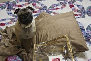 Waterbeds Online 2316.jpg